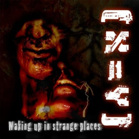 (X=Y) - Waking Up In Strange Places cover art